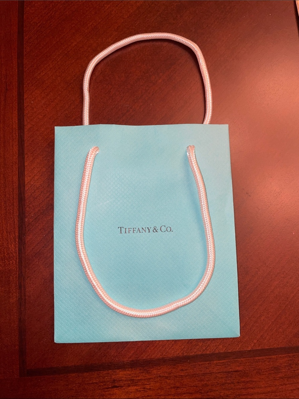 Tiffany & Co. Light Blue Gift Bag with white Rope Handles